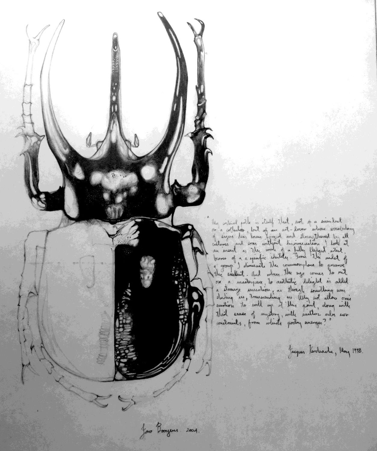 Observational pencil drawing of a beetle with a Jacques Kerchache text